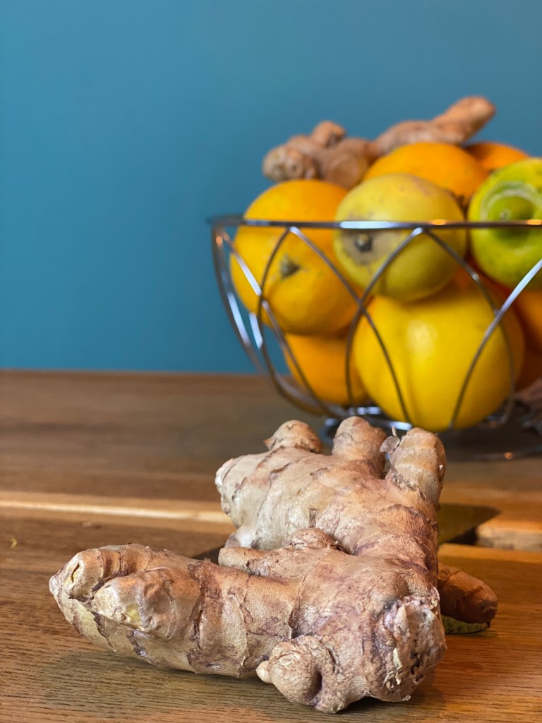 Ingwerknolle im Vordergrund, im Hintergrund Orangen, Limetten und Zitronen als Zutaten für den selbstgemachten Ingwershot von Anna-Lena Tacke, Bloggerin auf nachhaltigerundgenuss.com