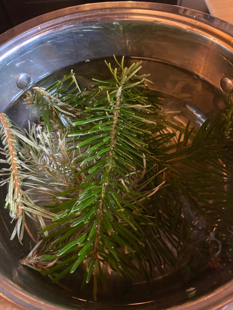 Tannenzweige im Topf zum Auskochen