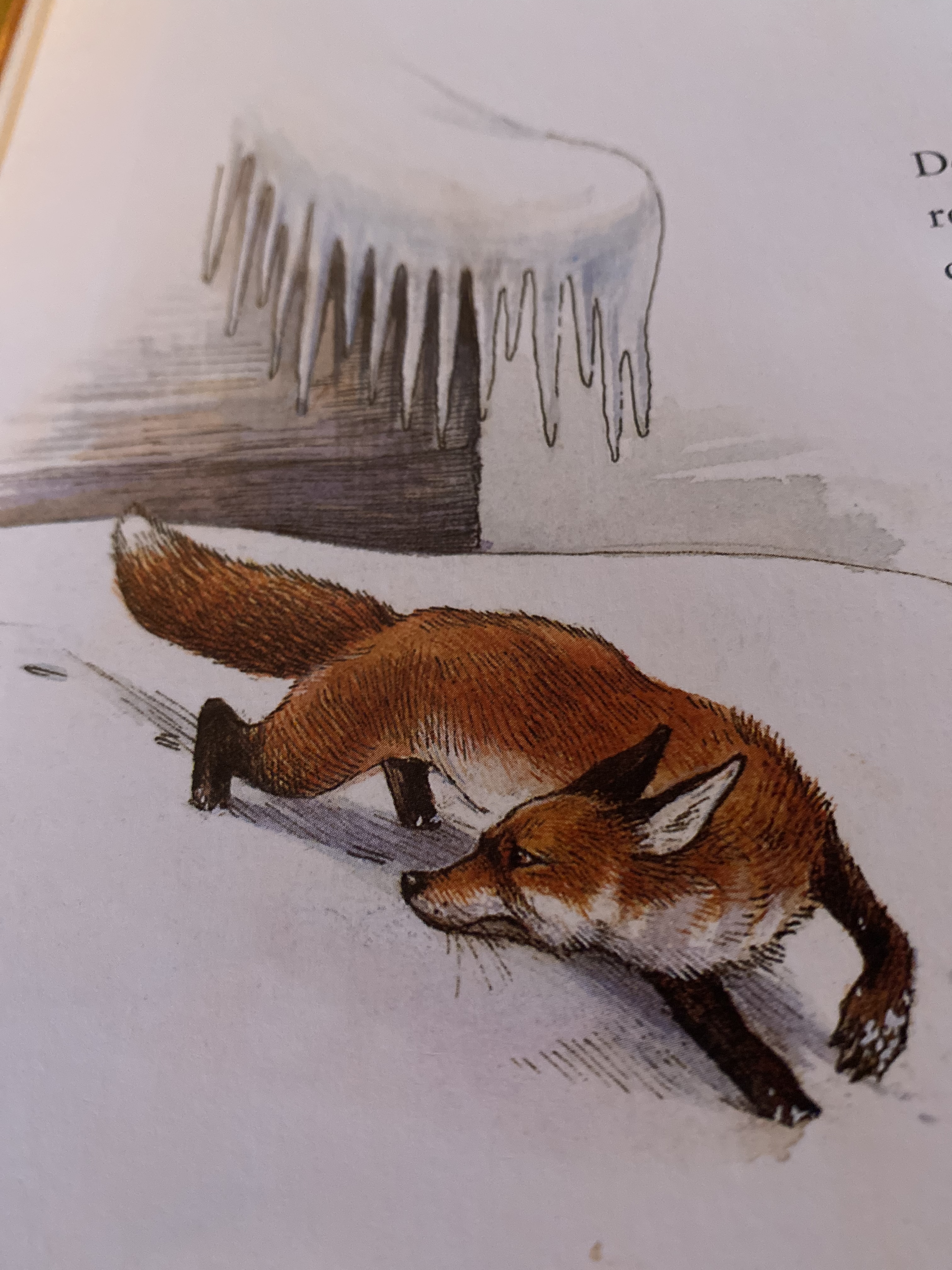 Illustration aus dem Buch Wanja von Bloggerin Anna-Lena Tacke auf nachhaltigerundgenuss.com