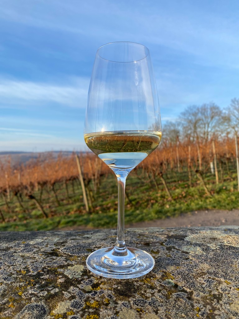 Weinglas mit Müller Thurgau vom Weingut Juliusspital im Weinberg auf der Vogelsburg