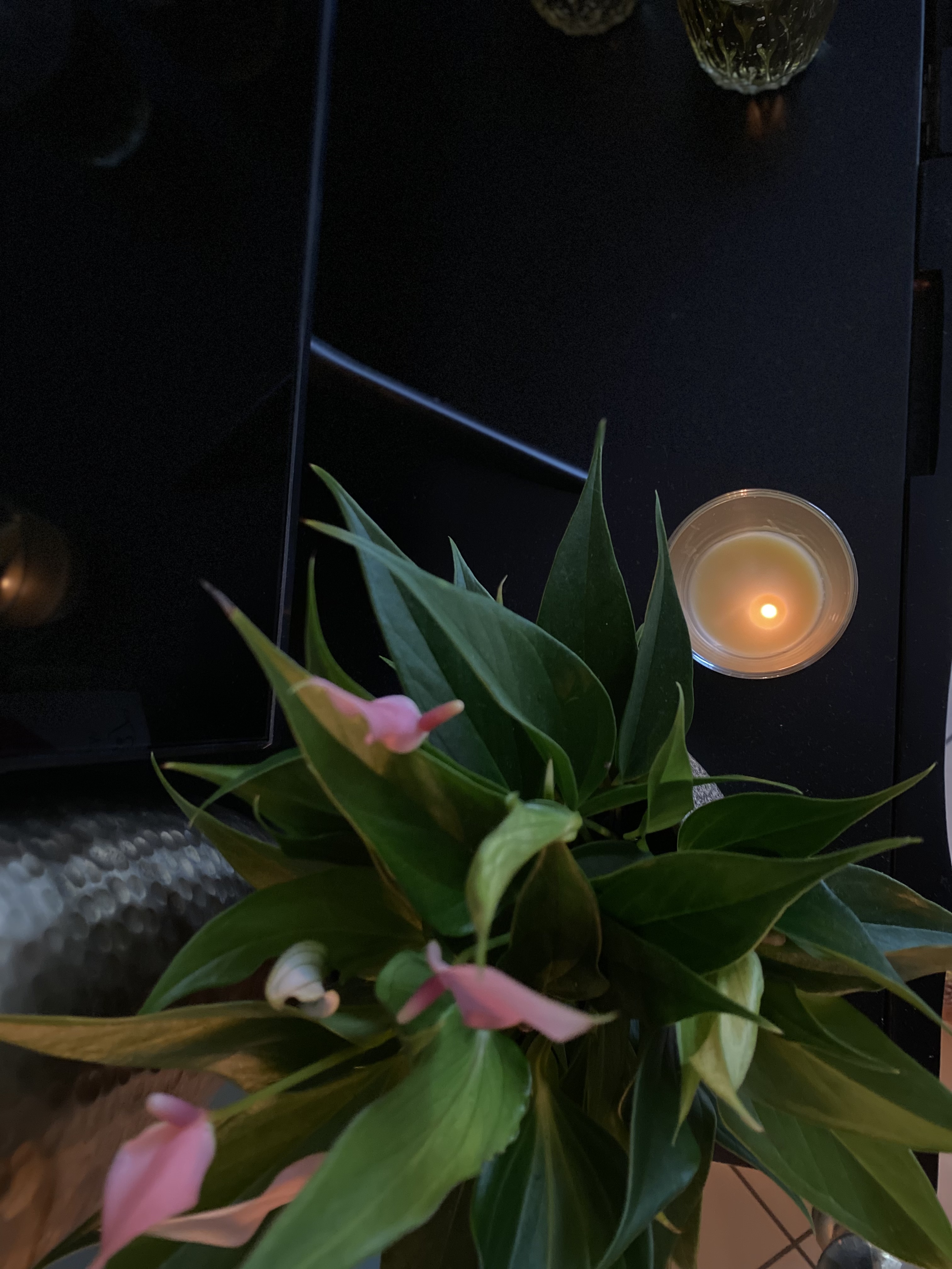 DIY selbstgemachte nachhaltige Bienenwachskerze