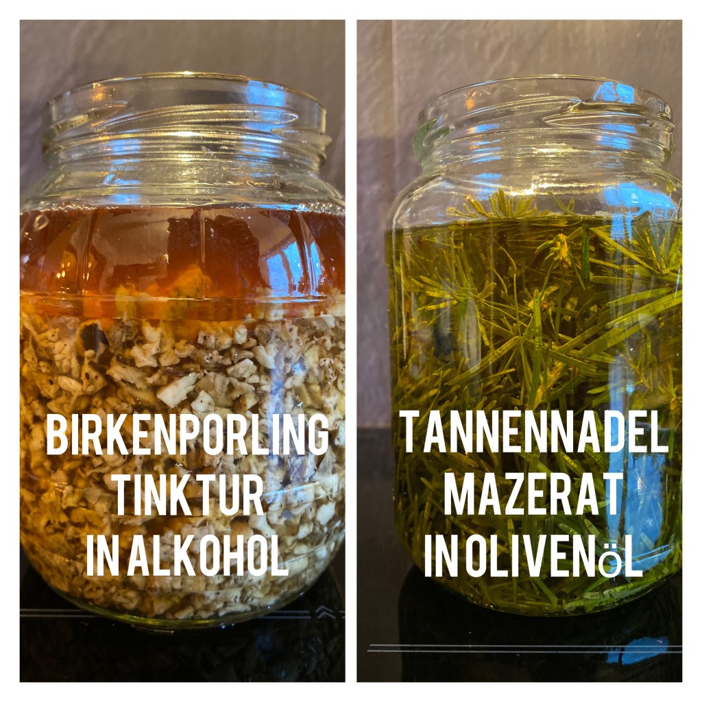 Mazerat, Extrakt, Tinktur oder&nbsp;Ölauszug