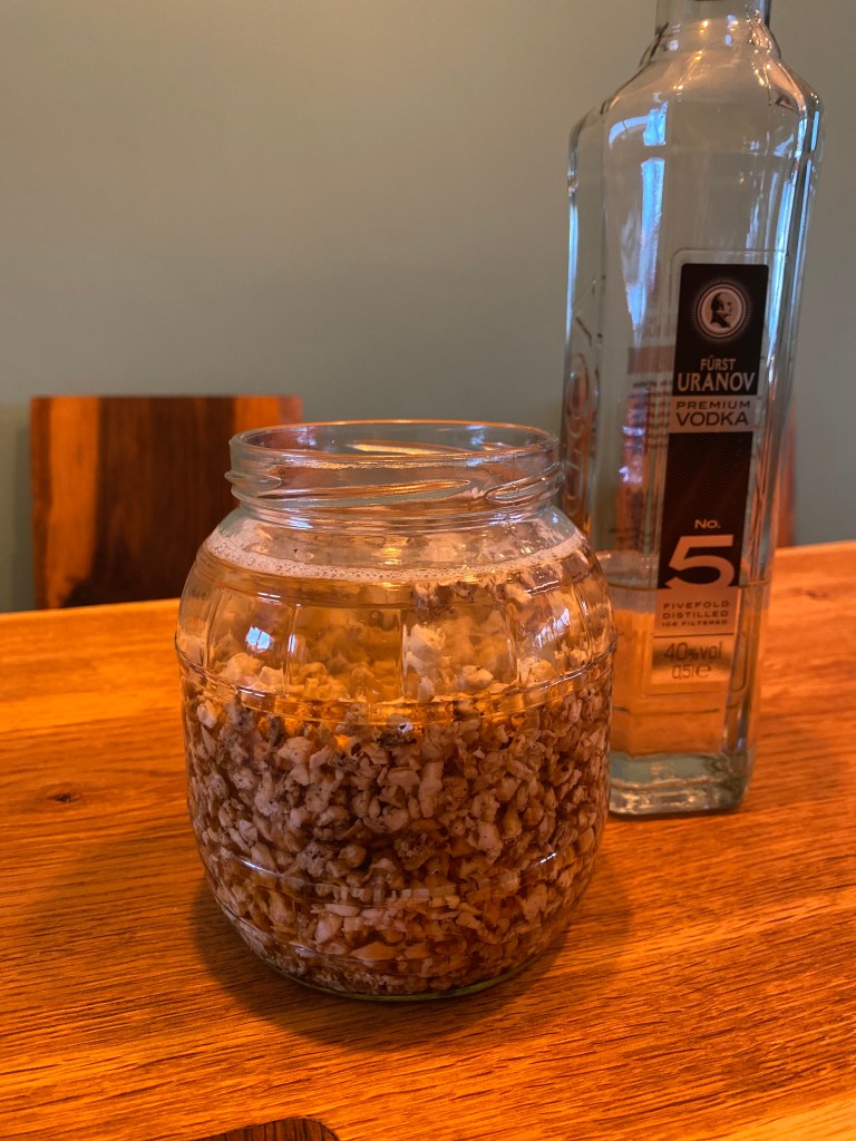 Birkenporling Tinktur Ansatz mit Vodka in großem Einmachglas
