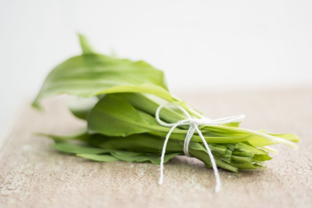 Gesammelter Bärlauch für Pesto oder Butter im Blog nachhaltigerundgenuss.com