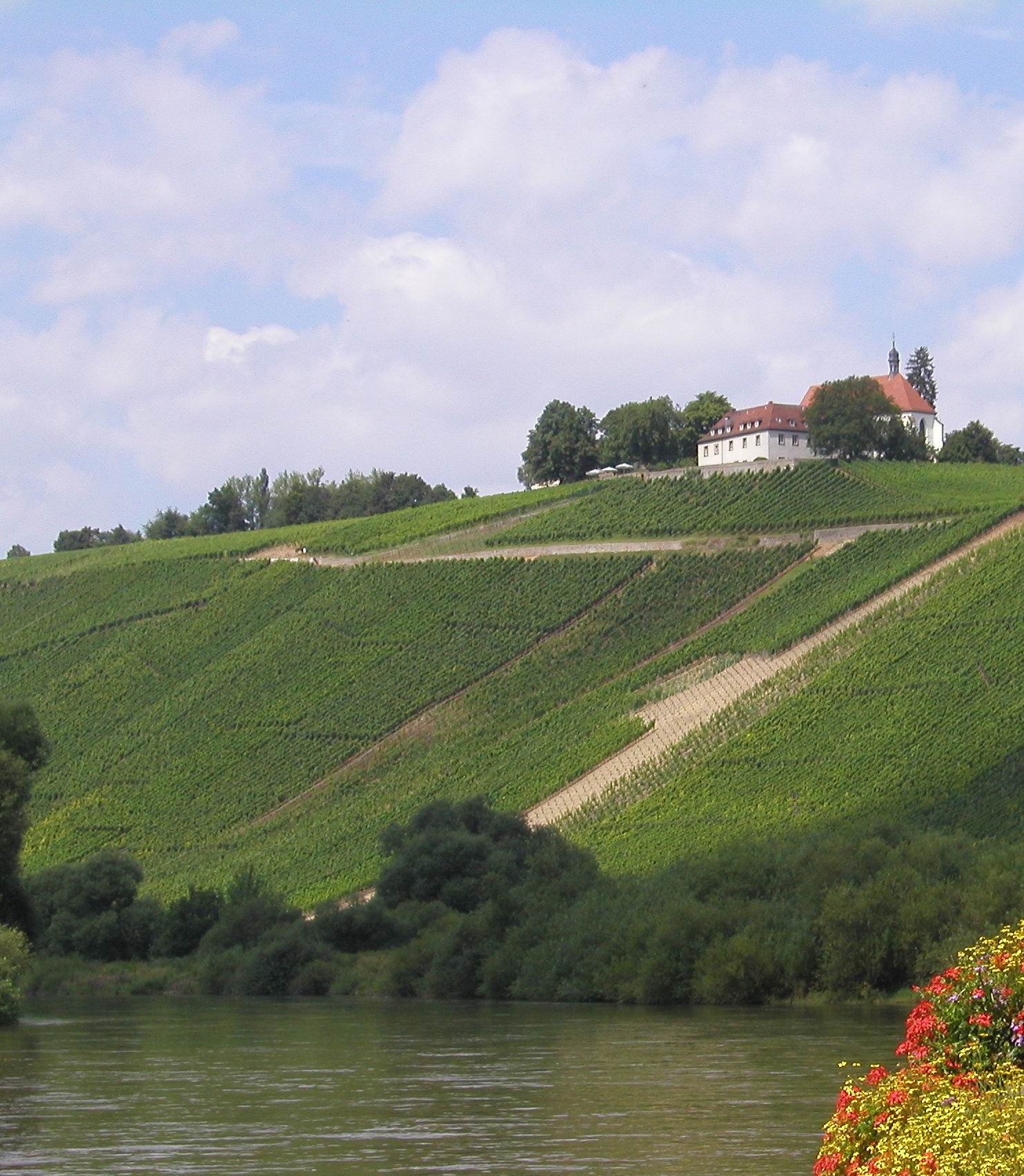Vogelsburg in Volkach, unterhalb liegen die Weinberge vom Weingut Rainer Sauer, Escherndorf