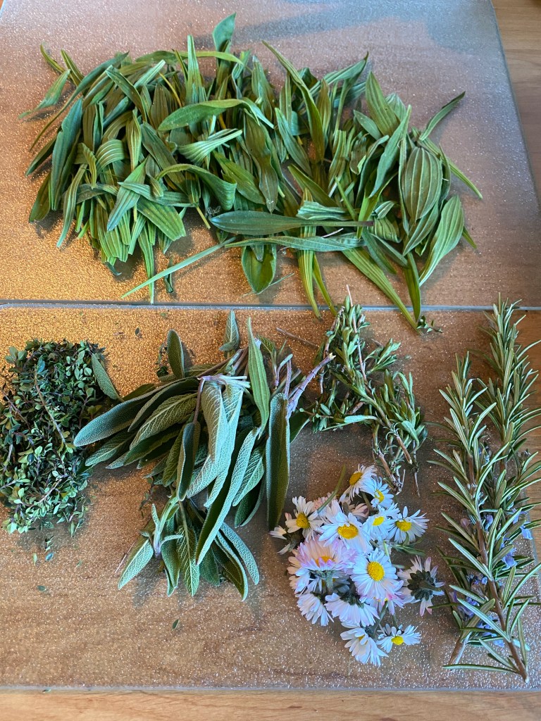 Heilkräuter für diy Hustensirup im Blog von nachhaltigerundgenuss.vom