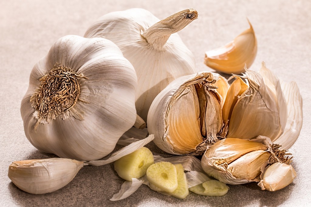 Knoblauch ist das stärkste natürliche Antibiotikum. Wie ihr euer natürliches Antibiotikum selbermachen könnt, könnt ihr im Blogartikel von Anna-Lena Tacke lesen.